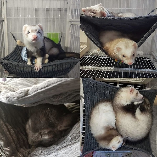 Liten Dyrehengeköye Ilder Seng Hengeköye og Tunnelbur for Rotte Hamster Ekorn Sukkerflyger Marsvin