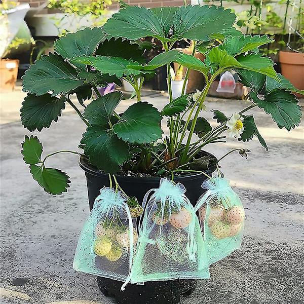 Druvor Organza Påse - 100 st, 30x20cm, Komplett Skydd Mot Getingar, Fåglar, Insekter