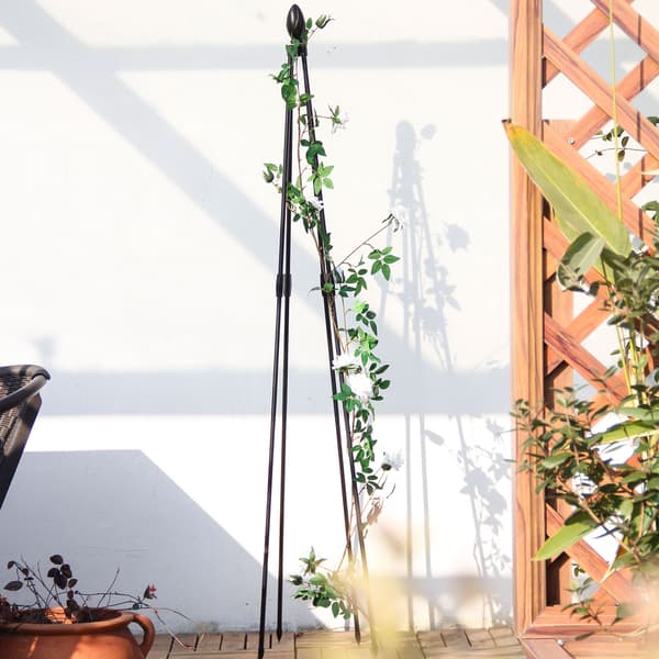 Hageobelisk Tårn Klatrevin Blomsterstativ Hage Vertikalt Blomstertårn