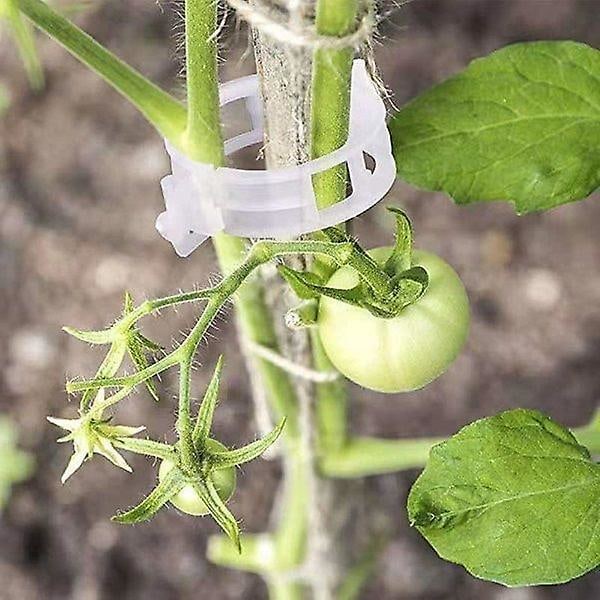 200 Stk. Sikre Planteklips i Plastik, Støtteklips til Fastgørelse af Haveplanter, Klips til Grøntsager, Tomatranker, Voksende Stængler, Lige og Sundere
