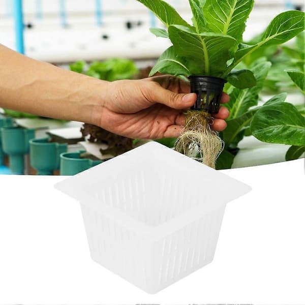 50pcs Square Hydroponic Net Pot Soilless Cultivation Flower Plant Grow Basket White