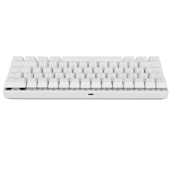 Mekanisk tangentbord 61 tangenter RGB bakgrundsbelyst USB-kabelansluten dubbelläge stor kapacitet mekaniskt spelande tangentbord vit grön axel