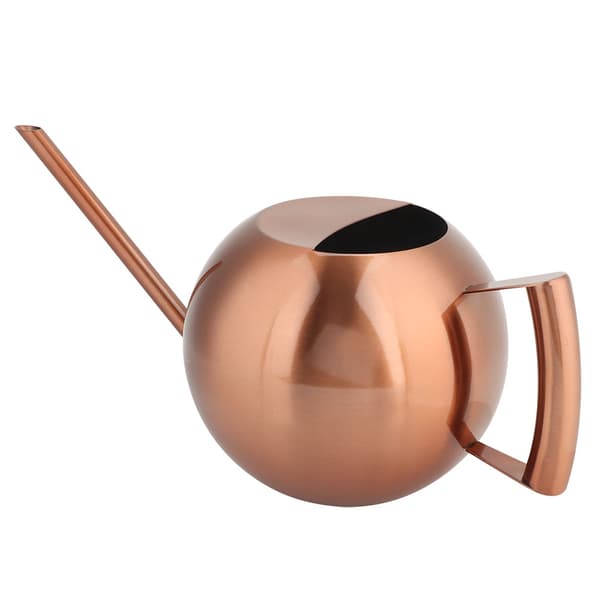 1000 ml vandkande i rustfrit stål med lang tud til haveblomster og planter, bronze