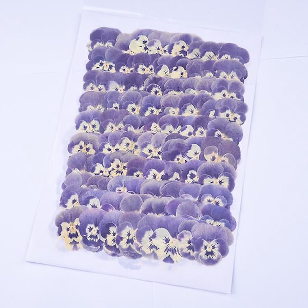 24 Pressede Tørkede Blomster for DIY Håndverk Naturlige Blomsterpynt
