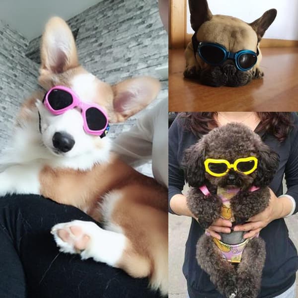Hundebriller, Kjæledyrsolbriller, Sammenleggbare Hundebriller UV-beskyttelse Solbriller