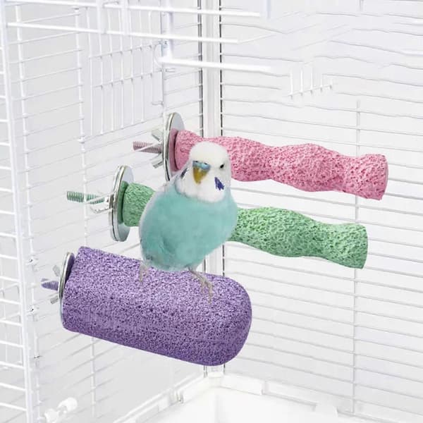 Parrot Teeth Mouth Molar Paw Grinding Sticks Cage Accessories Jumping Climbing Green