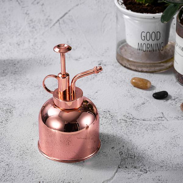 Plante Mister Sprayflaske 300ML Rustfrit Stål Vandkande til Indendørs Planter Sukkulente Bonsai Haveværktøj Guld