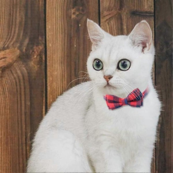 2 katt halsband, snabbspänne katthalsband med klockor och flugor, sött rutmönster för de flesta husdjur