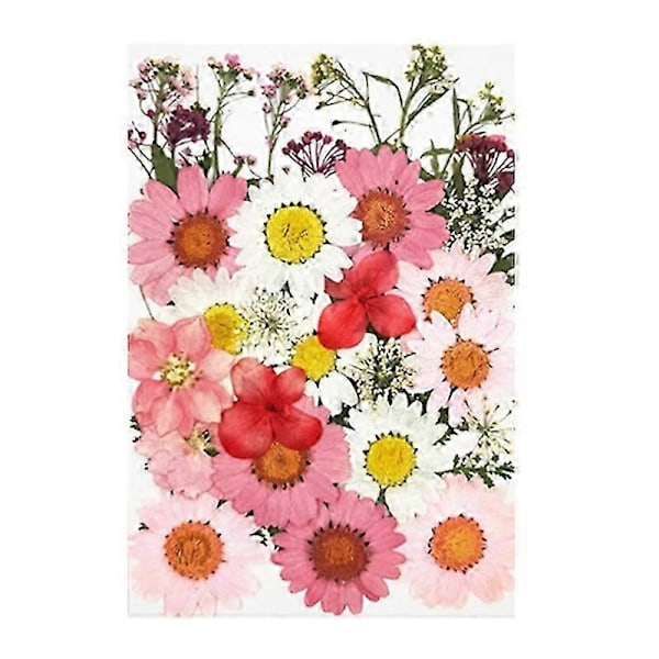 36 st Äkta Torkade Pressade Blommor Blad Kronblad kompatibla med DIY Ljus Harts Smycken Nagel Hänge Hantverk Ma