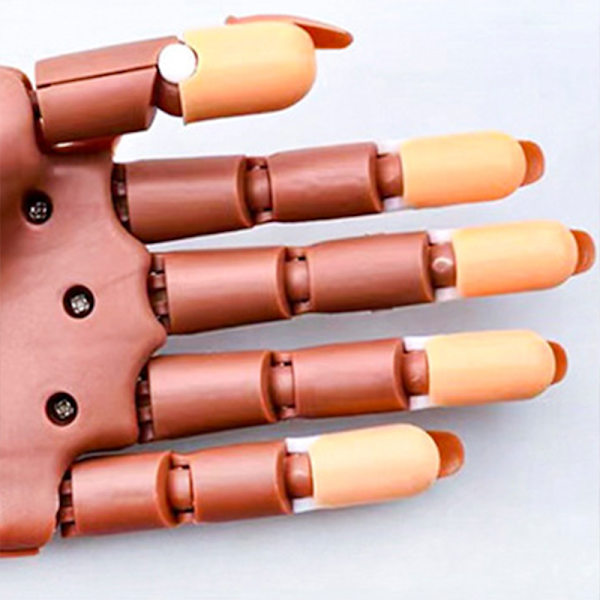 Nails Training Hand Flexibel rörlig DIY Nail Art Fake Model Händer för nybörjare manikyr