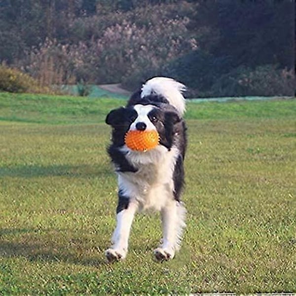 Dww-2 stycken Blå Hög Elastisk Hund Tuggleksaker för Husdjur Gummi Leksaker för Hundar
