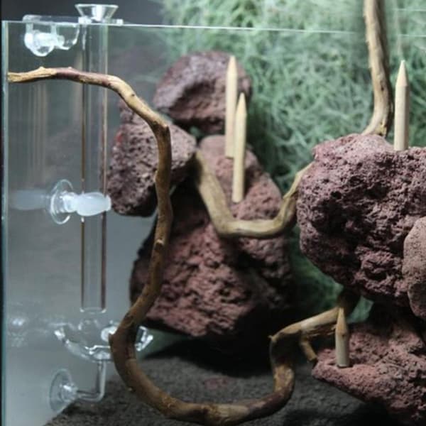 Akryl Akvarium Reje Foder Rør med Holder Clip Foderskål Sæt Akvarietilbehør (35cm)
