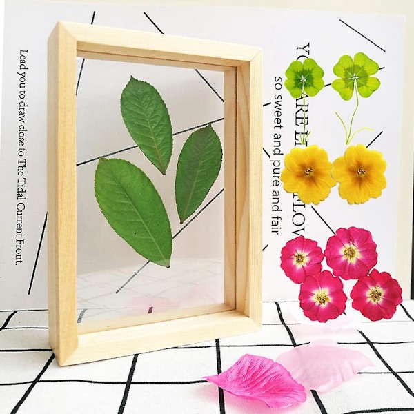 Double Sided Acrylic Plant Pressed Flower Frame for Wood Picture Frames