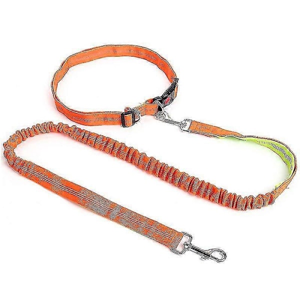 Hundesnor Elastisk Nylon Kæledyr Løbesnor Gå Hundesnor Kæledyrssnore