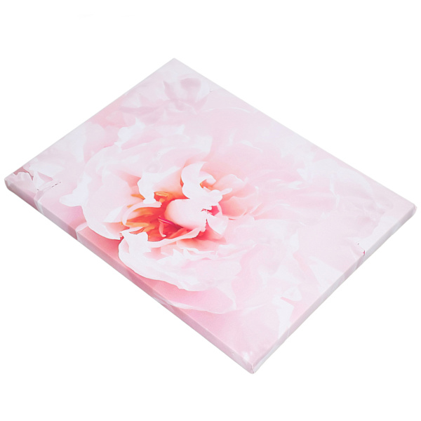Blomsterkonstbilder Fashionable Ambience Ljus färg blekningsbeständighet Väggdekor Konst för hemmakontor Bar kök Café Typ A