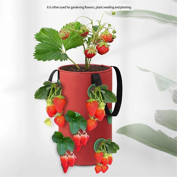 3 stk. multifunksjonelle 12-hulls hengende tomatdyrkeposer i filt, A