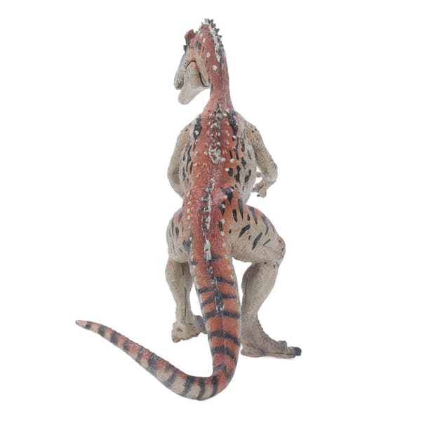 Høj simulering dinosaurmodel Cryolophosaurus samling pædagogisk legetøj til børn
