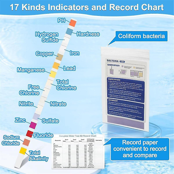 17 i 1 Drikkevann Test Kit 138P 125 Vannkvalitet Test Strips 6 E Coli Test Strips kompatibel Bly Ir-B13
