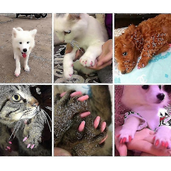 40 st Mjuka Katthund Nagel Skydd Pet Paw Claw Protector Nagelöverdrag med Gratis Lim Applikator XL