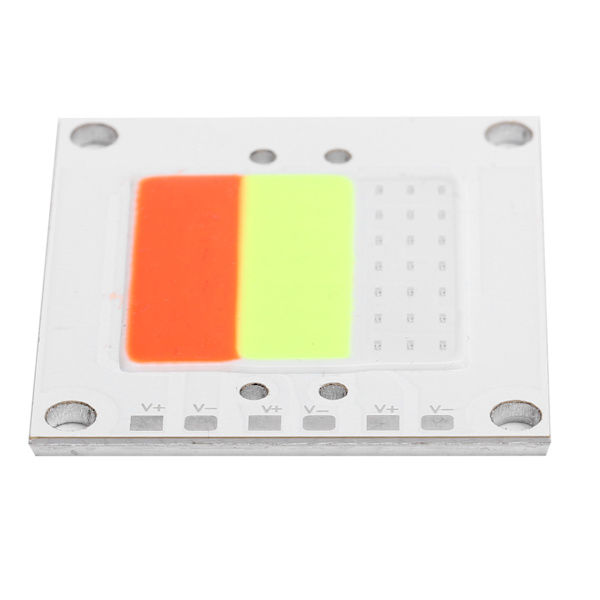 40X45mm 50W LED integrerad ljuskälla High Power COB Bulb Flood Light Röd Grön Blå