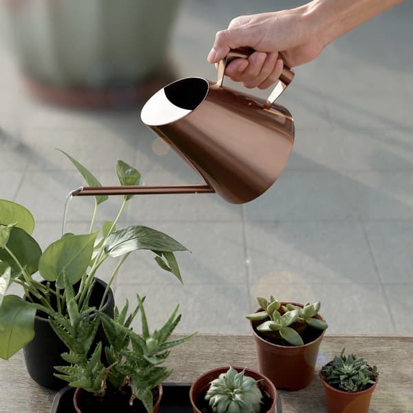 Vannkanne i rustfritt stål til husholdning, hage, grønne planter, blomster, bronse M