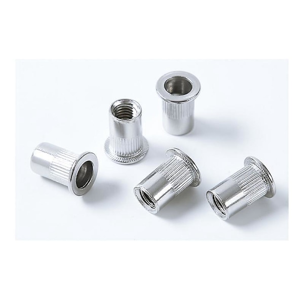 50 st M6 304 Rostfria Nitmuttrar Sortiment Blindmuttrar Rostsäker Mutter Silver