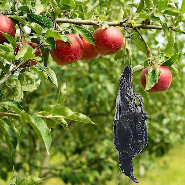 Realistisk Hängande Död Kråka Lockbete Livsstorlek Extra Svart Fjäderprydd Kråka