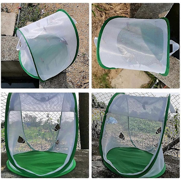 Mini Växthus Tält med Transparent Skydd Skyddad Växtodling Hemma, Portabelt Vikbart Trädgårds Växtskyddsnät Insektsobservation