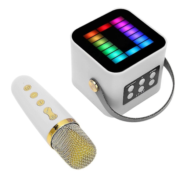Mini Karaoke Maskine Sæt RGB Pickup Lys Digital Behandlingschip Håndholdt Bærbar Bluetooth Højttaler Med Mikrofon Hvid ZD.16