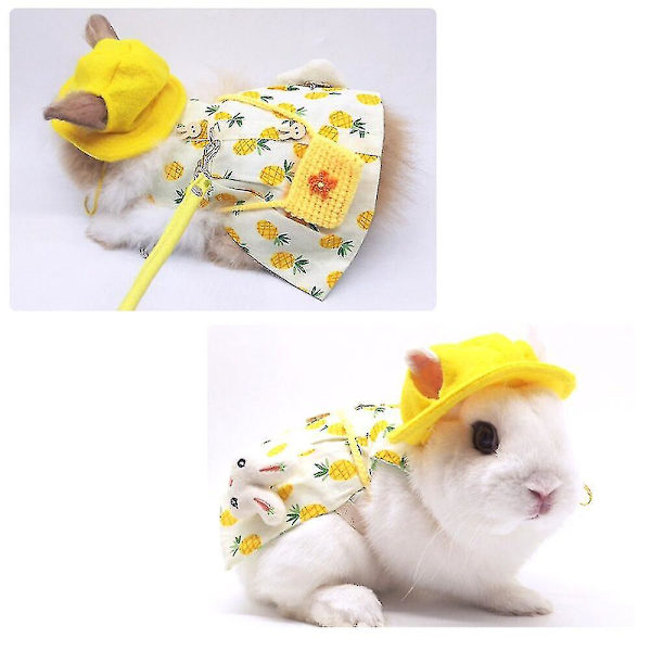Suloinen kanin valjaat ja set lemmikkiliivillä - kultainen ananas -teema