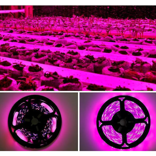 Smart vandtæt LED Grow Light System, 1 meter