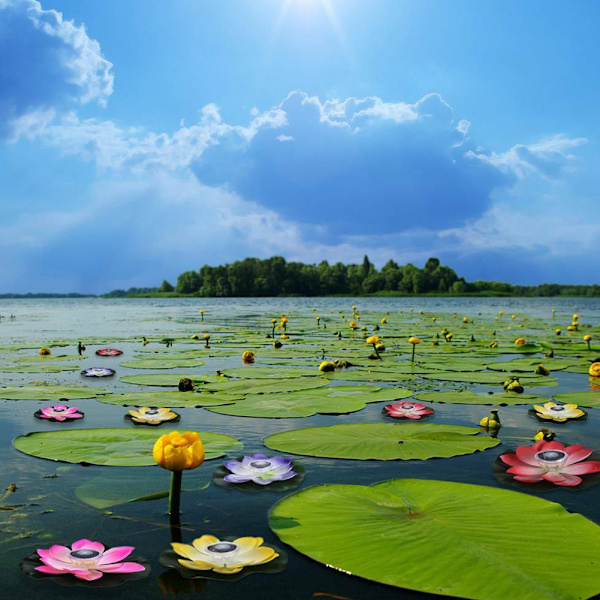 Solcelledam Lys LED Fargeskiftende Lotus Blomst Vanntett Flytende Lampe Lysegul