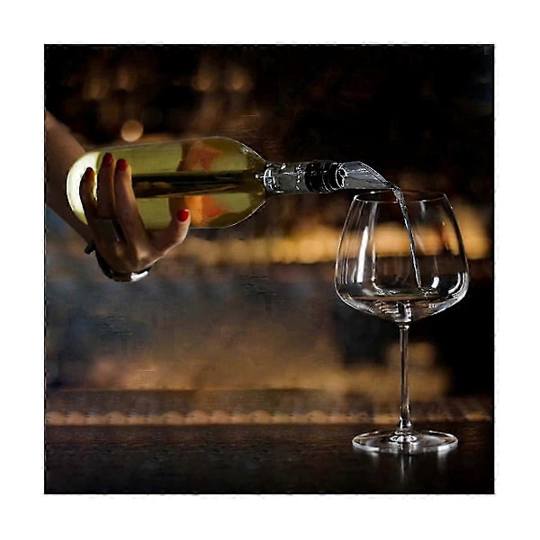 2 STK Vinkøler Vinflaske Køler Rustfrit Stål Vinkøler Stav Vin Dekanter med Vin Aer