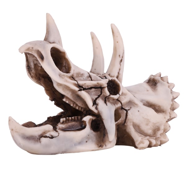 Resin Dinosaur Triceratops Skull Model Simulert Skjelett Hjemmekontor Display Dekorative Craft