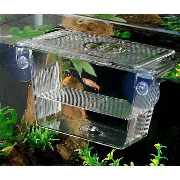 Lekrum, - 3 i 1 Akvarium Fiskodlingstank med Lock, Flytande, Transparent 12,5x7x7 cm