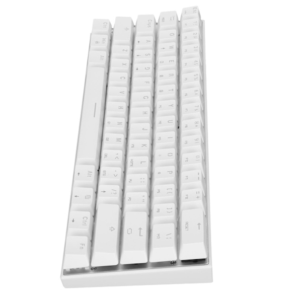 Mekanisk tangentbord 61 tangenter RGB bakgrundsbelyst USB-kabelansluten dubbelläge stor kapacitet mekaniskt spelande tangentbord vit grön axel