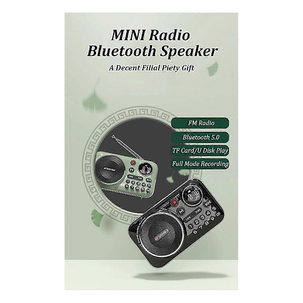 FM-radio Bluetooth 5.0 -kaiutinradio iäkkäille, oranssi