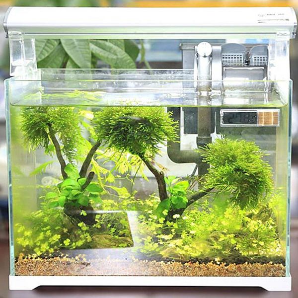 Akvarie Termometer Måler LCD 3D Digital Elektronisk Temperaturmåling Fisketank Termometer