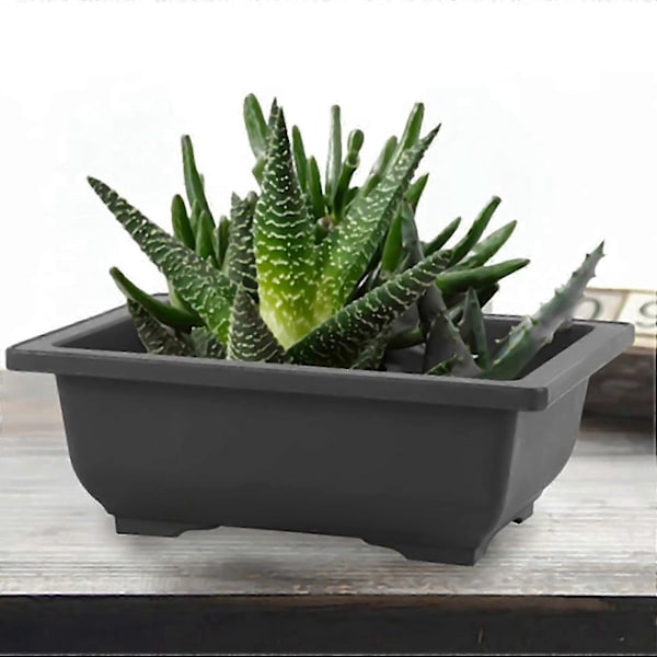6-pack Bonsai Träningskrukor Med Bricka Plast Bonsai Växter Odling Kruka För Trädgård Gård Vardagsrum Tak