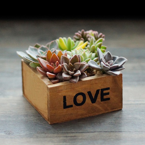 2 st Multifunktionell Trä Succulent Blomkruka Växtkruka Förvaringslåda Organizer
