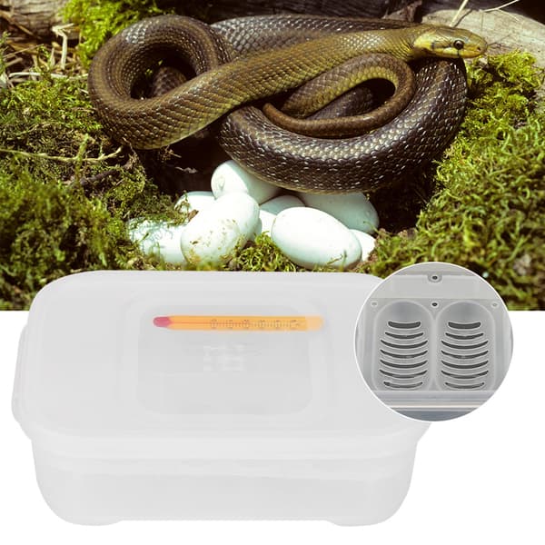 Reptilæg Inkubatorbakke med Termometer - 12 Rum