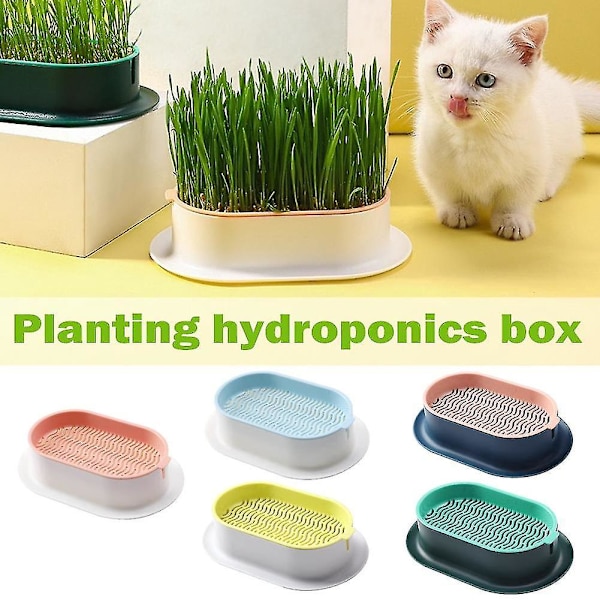 Kattgräs Hydroponisk Planterbricka - Jordfri Odlingsplats för Katter - Mintgrön
