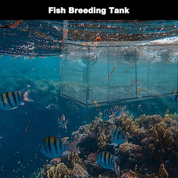 Akvarium Avlstank - 30x15x15CM, Akryl Akvarium Fiskeavlsboks, Akvarium Avlstank, Transparent Fiskeinkubator for Små Guppy Reker Fisk