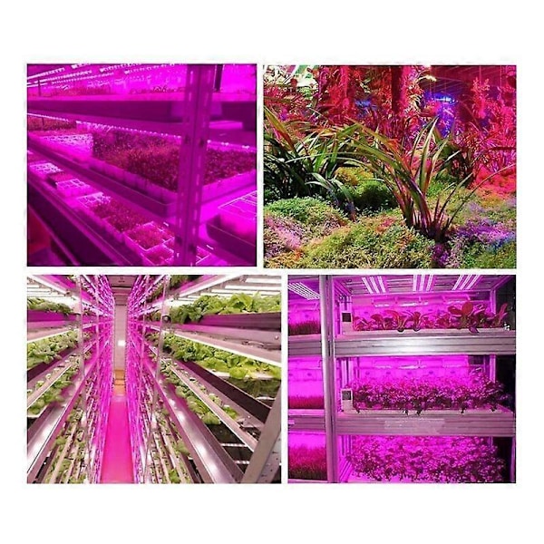 Vækstlys, Smart Vandtæt Grøntsagslys Strip 2m LED System Vækstlys, Smart Håndfoldende Vækstlys Strip 2m