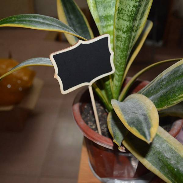 10 st Mini Blackboard Små Trä Tavla Skylt Tavlor