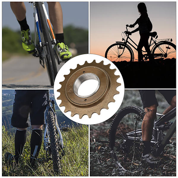 1 STK Metall Korrosionsbeständig Hög hållbarhet Lågt ljud Cykel 22 Tand Svänghjul Cykel Cykling Modifierat tillbehör