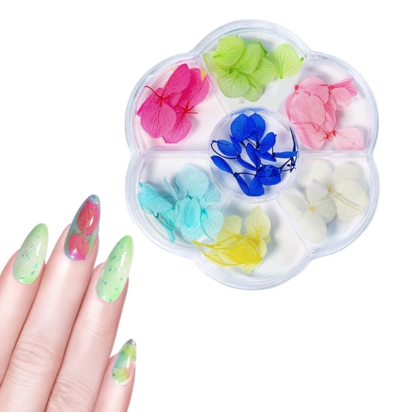 1 æske tørret blomst 6 gitter negle dekoration DIY negle kunst falske blomster til kvinder Manicure DIY negle dekorationer 01