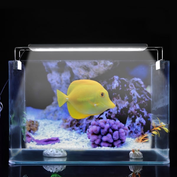 Klips på akvarium mini LED-lys utvidbar fisketanklampe EU-plugg 220V