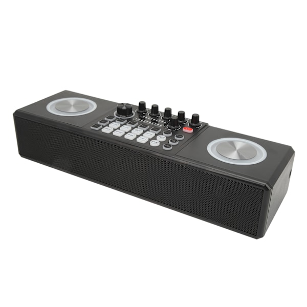 Karaoke-maskin med 2 mikrofoner, bærbar Bluetooth utendørs lydkort høyttaler karaoke-maskinsett for hjemmefest bryllup camping