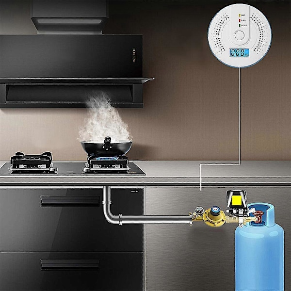 2st Digital Kolmonoxid Detektor Alarm Batteridriven Varningslarm Sensor Led -GSL